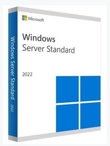 Microsoft Windows Server 2022 Standard, ESD